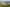 139109339 3971879866169236 4190585815738465413 n