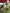 edit-page_4_image_0_1729656793_.jpeg