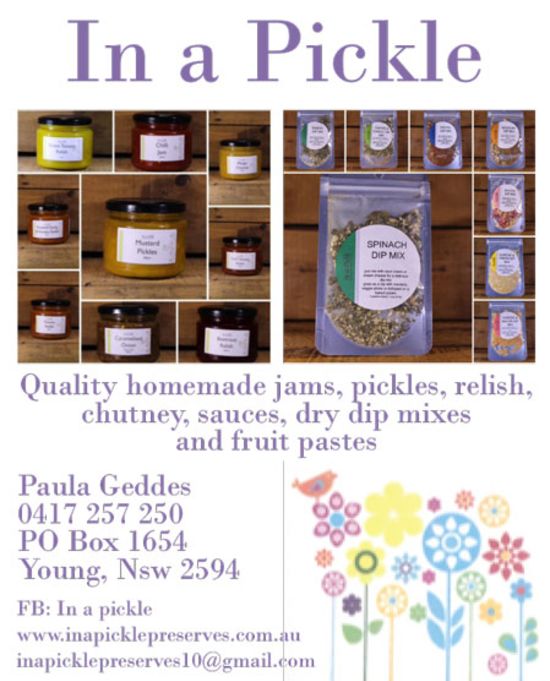Paula Geddes – In a pickle