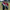 edit-page_5_image_0_1745991907.jpg