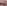 530046199 18016203596753475 1012530704960402410 n