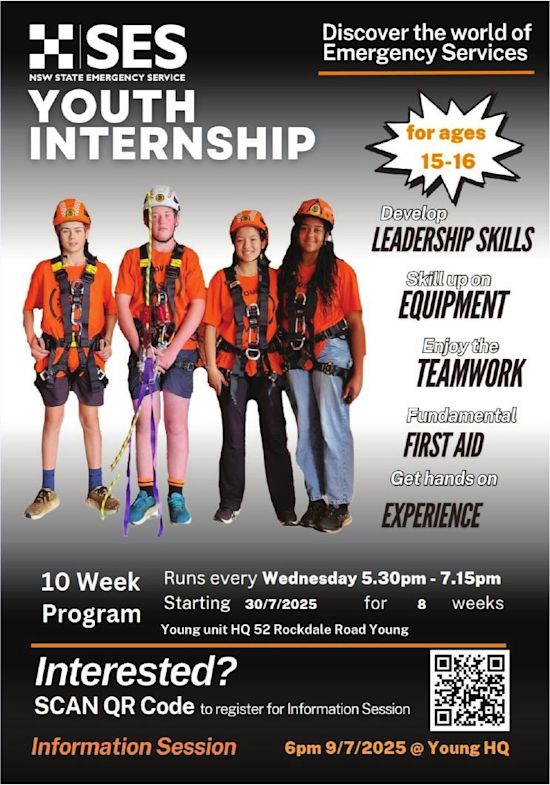 SES Youth Internship