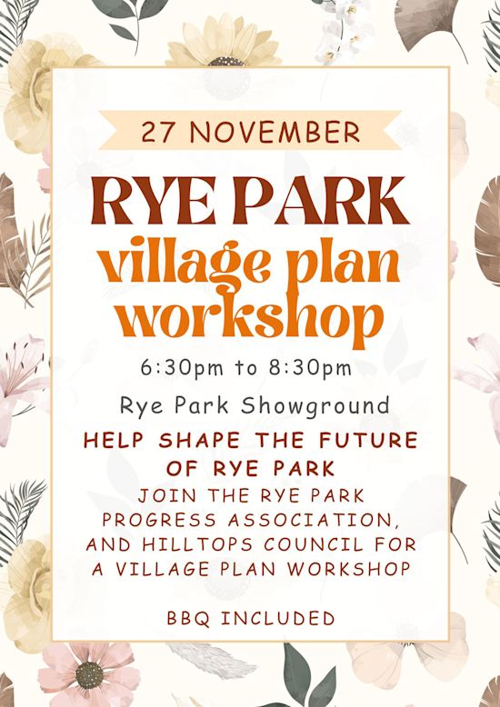 Rye Park Village Plan Workshop