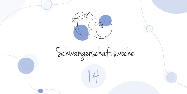 LILLYDOO Schwangerschaftskalender SSW 14 Dein Baby ist so groß wie ein Apfel