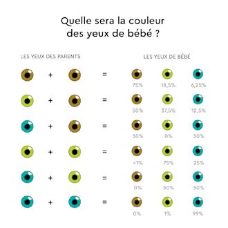 Tableau de probabilités de couleur des yeux bébé