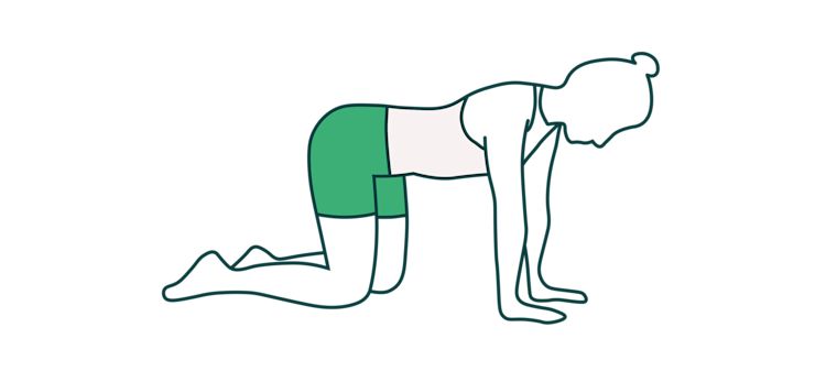 Illustration eines Vierfüßlerstands als Übung bei Inkontinenz nach der Geburt Illustration eines Vierfüßlerstands als Übung bei Inkontinenz nach der Geburt