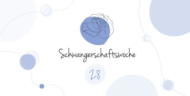 LILLYDOO Schwangerschaftskalender SSW 28 Dein Baby ist so groß wie ein Kopfsalat