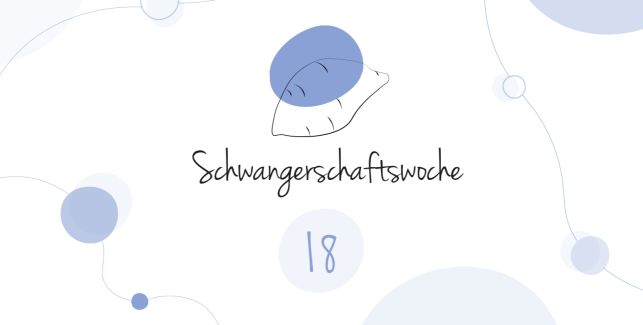 LILLYDOO Schwangerschaftskalender SSW 18 Dein Baby ist so groß wie eine Süßkartoffel