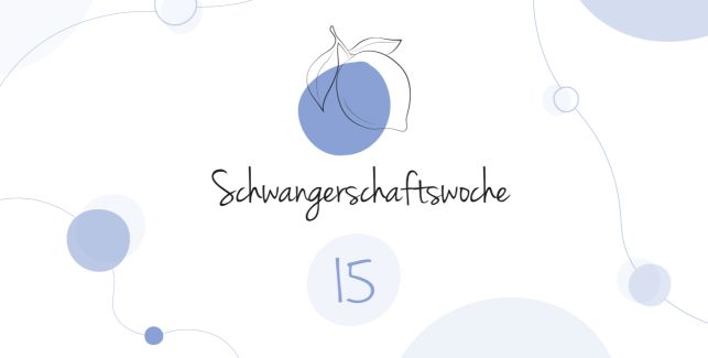 LILLYDOO Schwangerschaftskalender SSW 15 Dein Baby ist so groß wie eine Zitrone