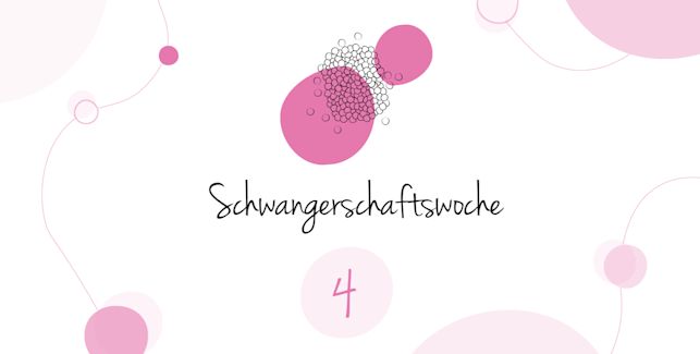 LILLYDOO Schwangerschaftskalender SSW 4 Dein Baby ist so groß wie ein Mohnkorn