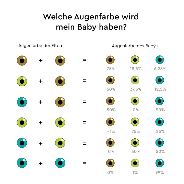 Illustration zur Berechnung von Babys Augenfarbe