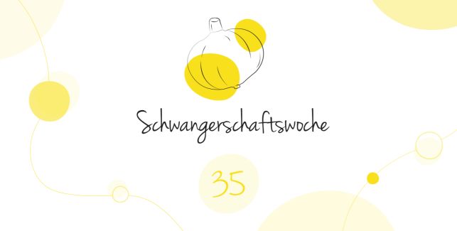 LILLYDOO Schwangerschaftskalender SSW 35 Dein Baby ist so groß wie ein Hokkaido Kürbis