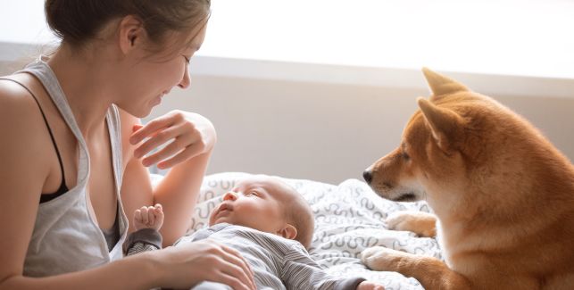 Maman, bébé et chient