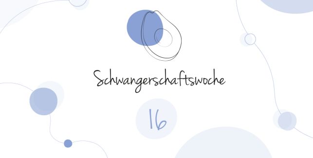 LILLYDOO Schwangerschaftskalender SSW 16 Dein Baby ist so groß wie eine Avocado