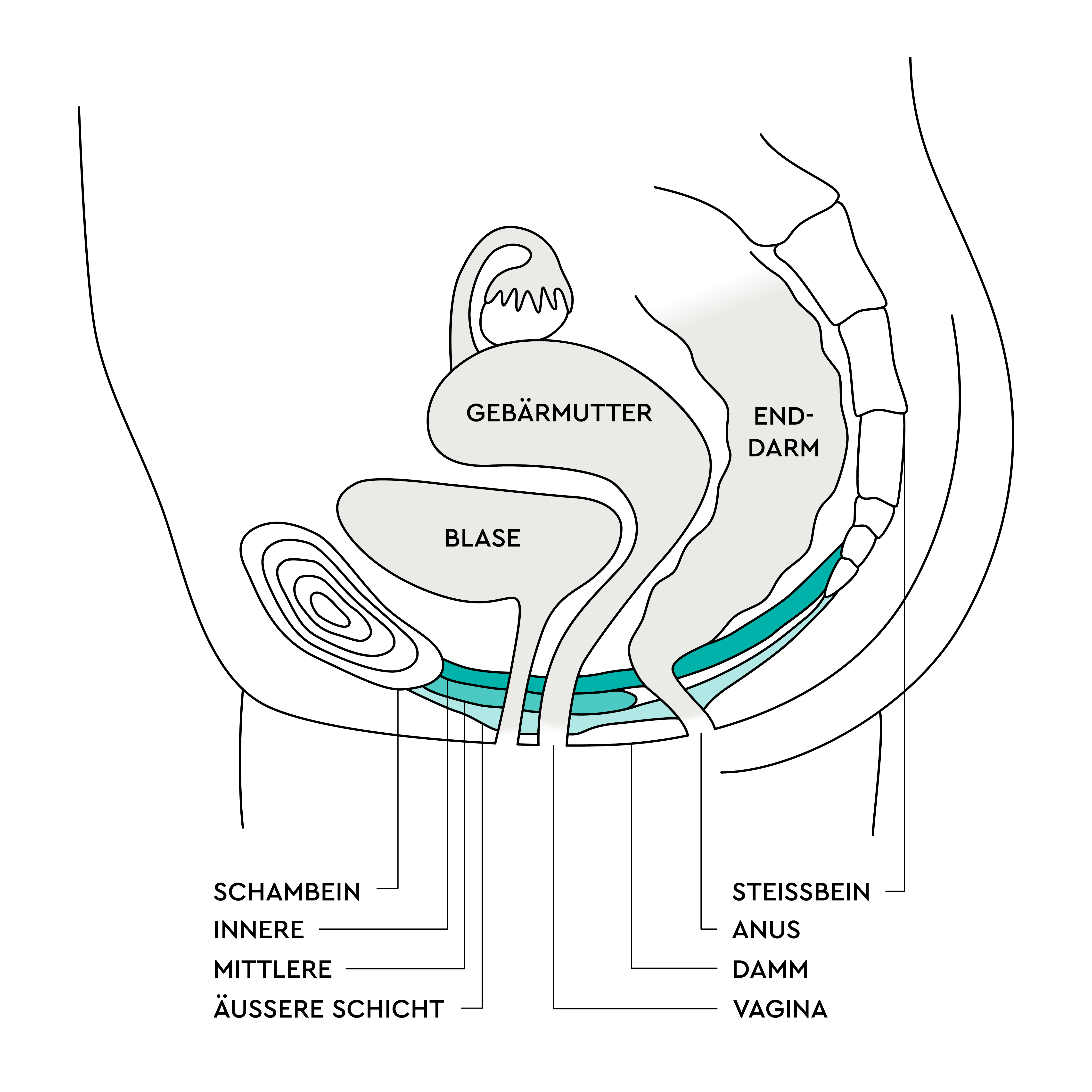 Beckenbodentraining nach der Geburt LILLYDOO Magazin