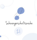 21. Schwangerschaftswoche