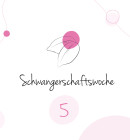 5. Schwangerschaftswoche