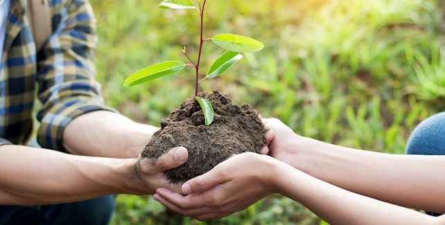 Brauche Rund Um Die Plazenta Lillydoo Magazin Brauche Rund Um Die Plazenta Lillydoo Magazin