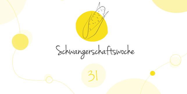 LILLYDOO Schwangerschaftskalender SSW 31 Dein Baby ist so groß wie ein Maiskolben