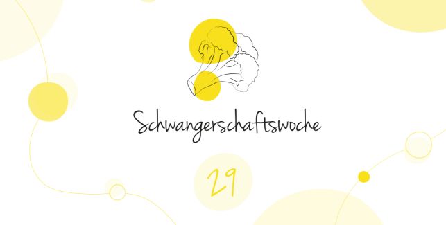 LILLYDOO Schwangerschaftskalender SSW 29 Dein Baby ist so groß wie ein Brokkoli