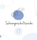 17. Schwangerschaftswoche