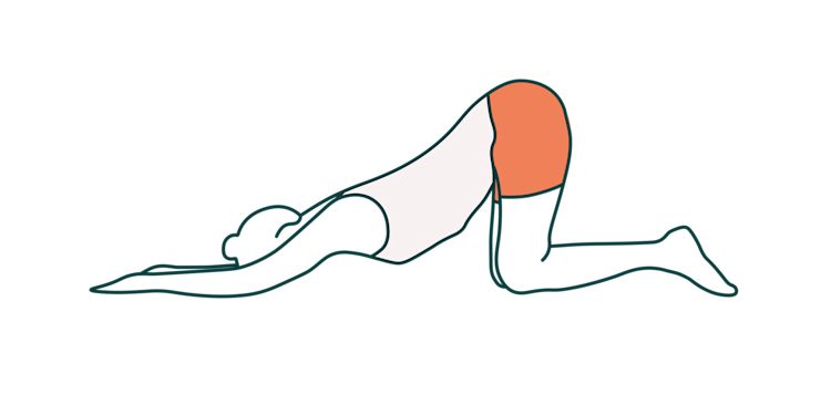 Illustration der Panther-Pose, die zur Entspannung des Beckenbodens dient Illustration der Panther-Pose, die zur Entspannung des Beckenbodens dient