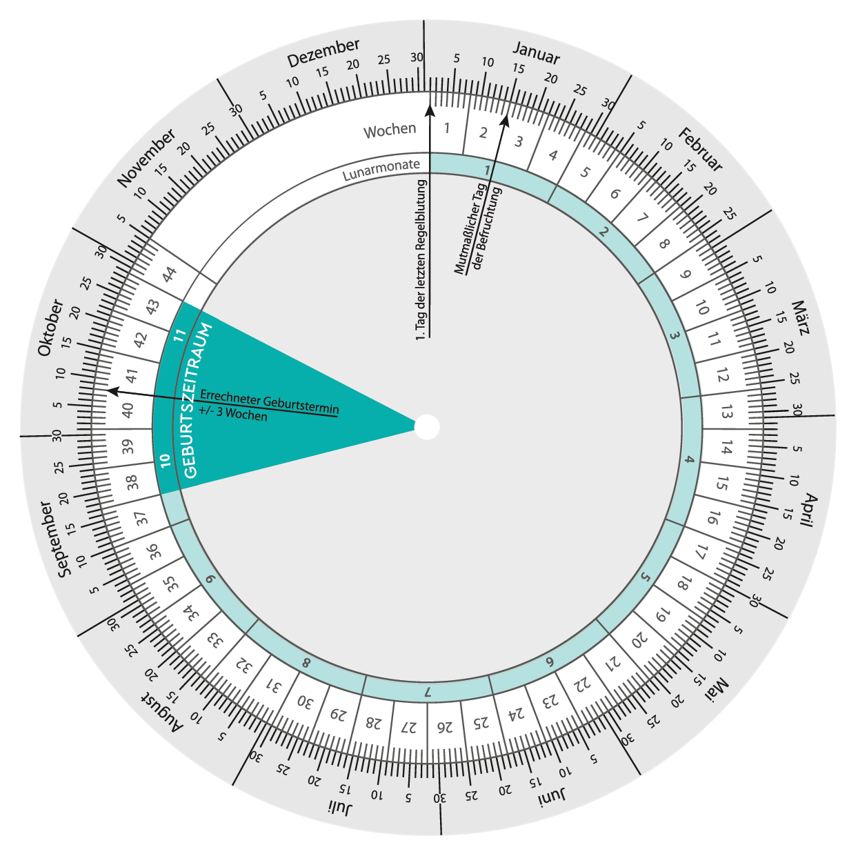 Schwangerschaftswoche und Geburtstermin berechnen  LILLYDOO Magazin