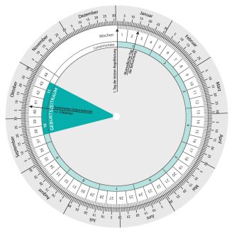 Gravidarium Geburtsterminrechner LILLYDOO