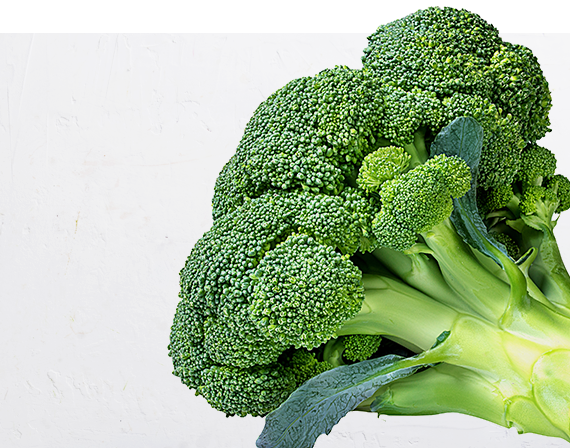 Broccoli