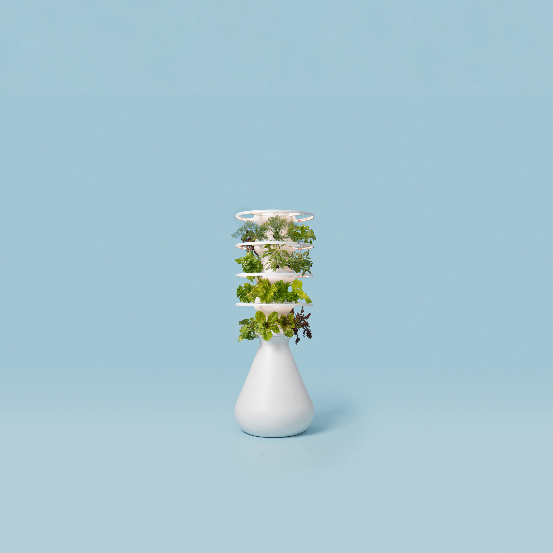 Lettuce Grow Farmstand to Table