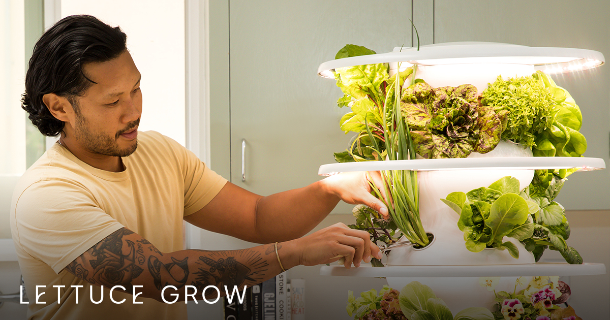 Lettuce Grow Hydroponic Vertical Indoor Garden Grow up to 36 plants