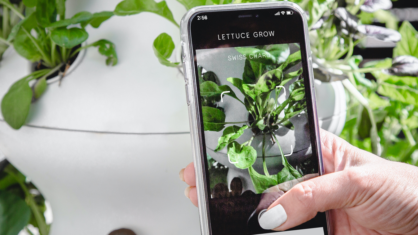 Lettuce Grow - From Anywhere - With Our iOS App listing image-v2