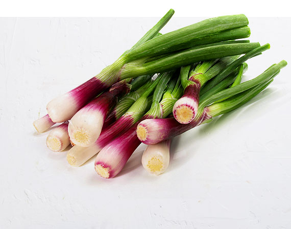 Purple Bunching Onion