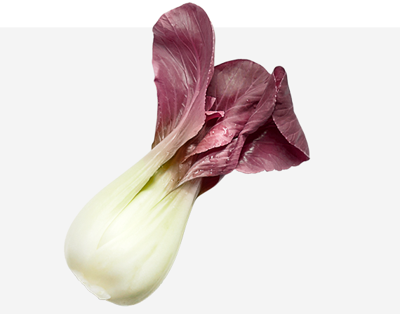 Red Bok Choy