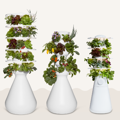 Lettuce Grow Farm Stand