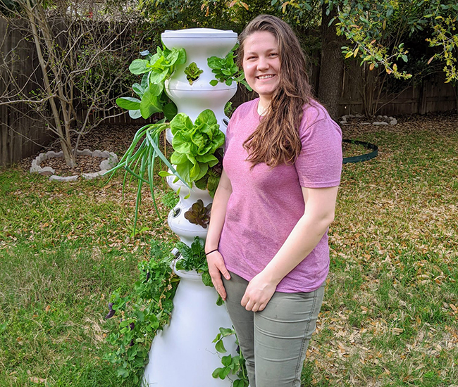 Lettuce Grow Growing Your Own Food Has Never Been Easier