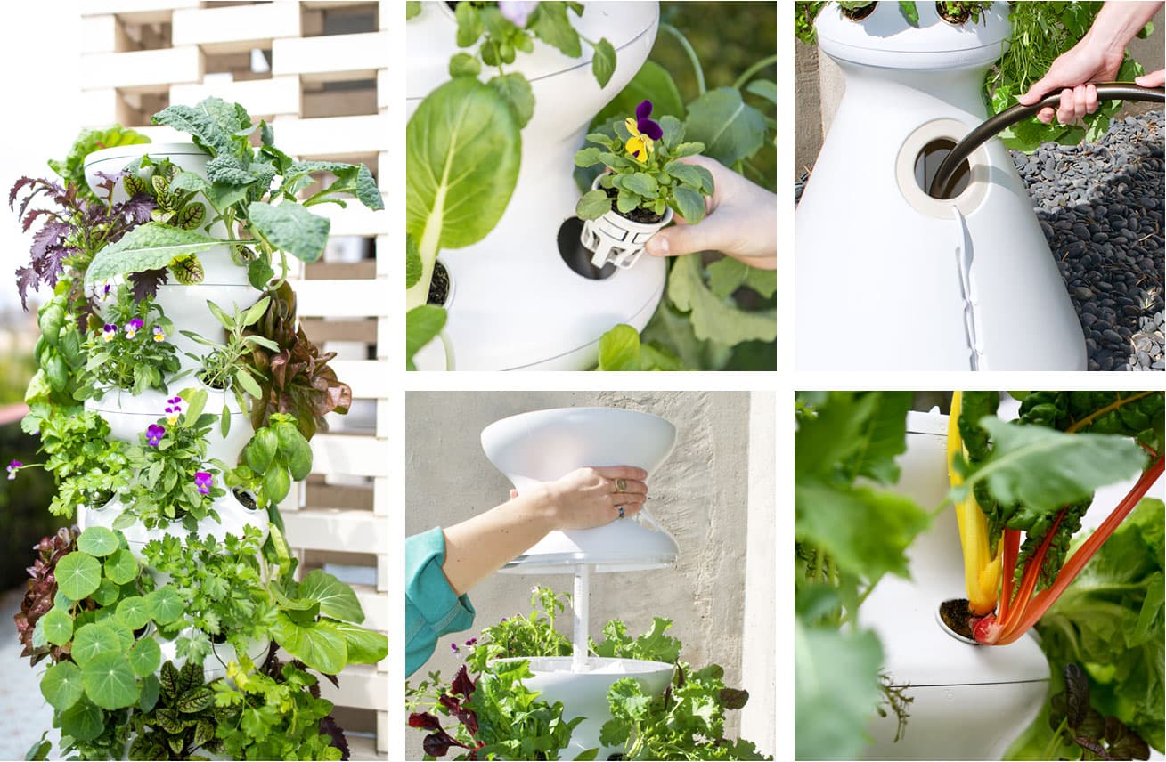 Lettuce Grow Meet the Farmstand Grow 75+ Varieties of Greens