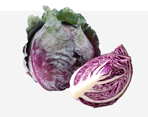 95527 1/87 Cabbage & Lettuce Plants