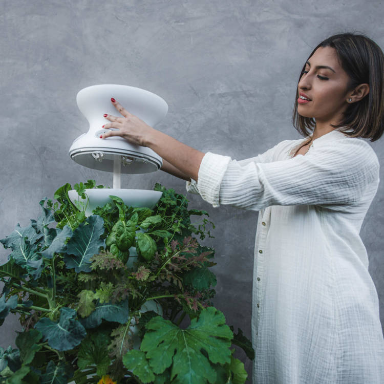 woman removing the top level of with the farmstand to illustrate the device set up