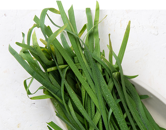 Garlic Chives