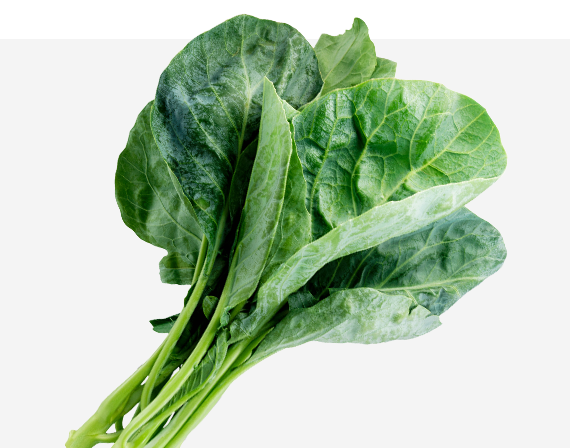 Amara Mustard Greens