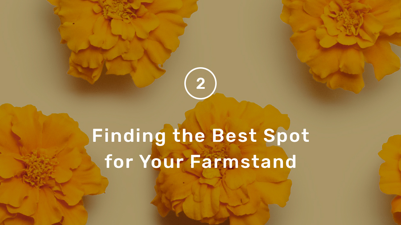 finding_best_spot_listing