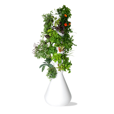 Large Farmstand Bundle