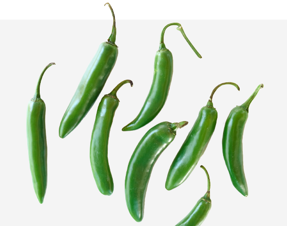 Spicy Serrano Pepper