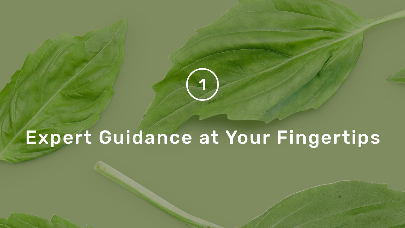 Expert Guidance at Your Fingertips