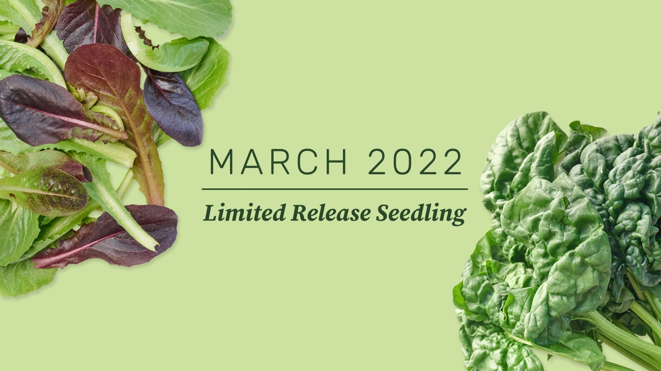 Lettuce Grow Blog The Lettuce Grow Guide to Indoor Growing