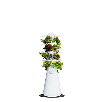 Farmstand Nook Bundle