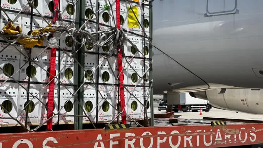 how to fly fresh produce image