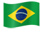Brazil Flag Image