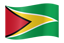 Guyana Flag Image